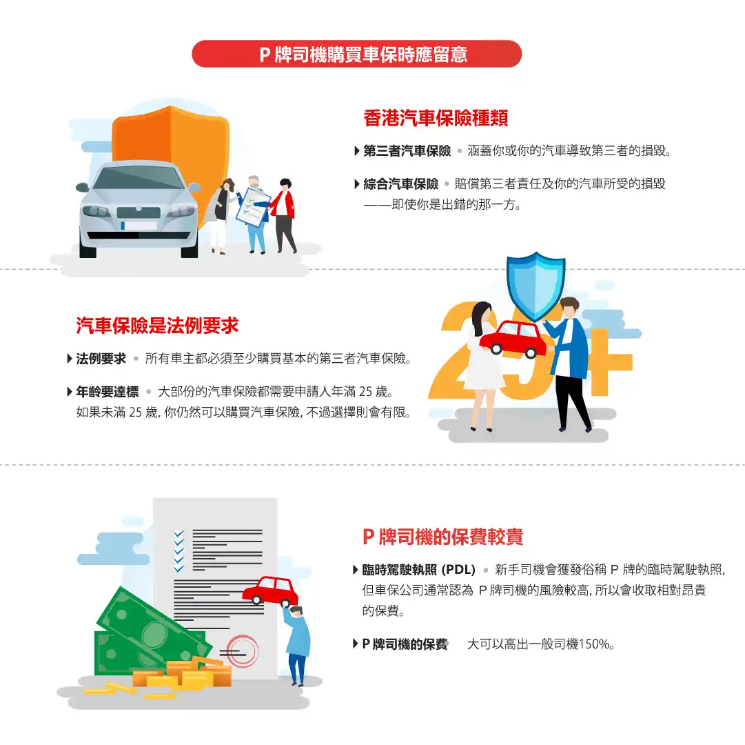 P license micrography 2